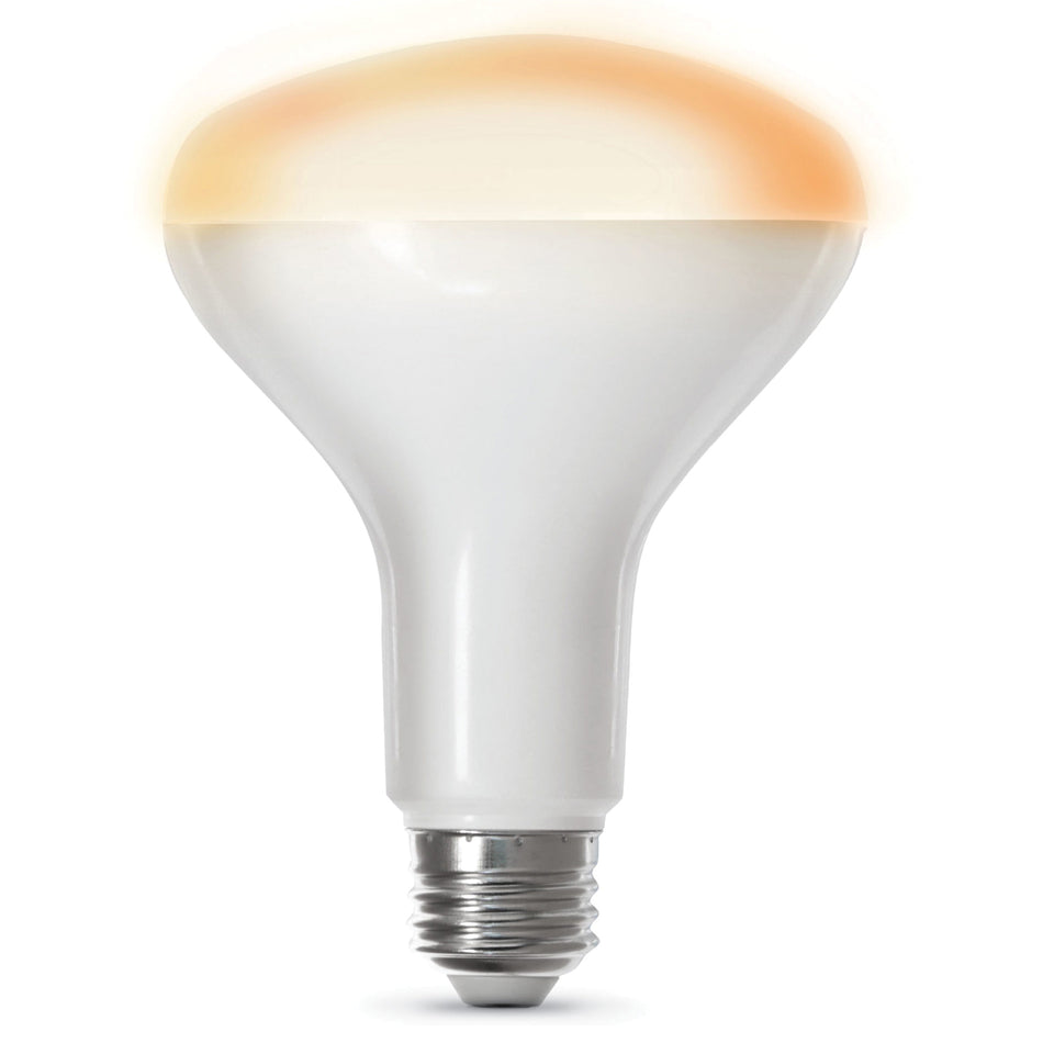 FEIT Electric OM60/927CA/AG Smart LED Bulb, 9 W, Arbitrary, Medium, White, 2700 K, 800 Lumens