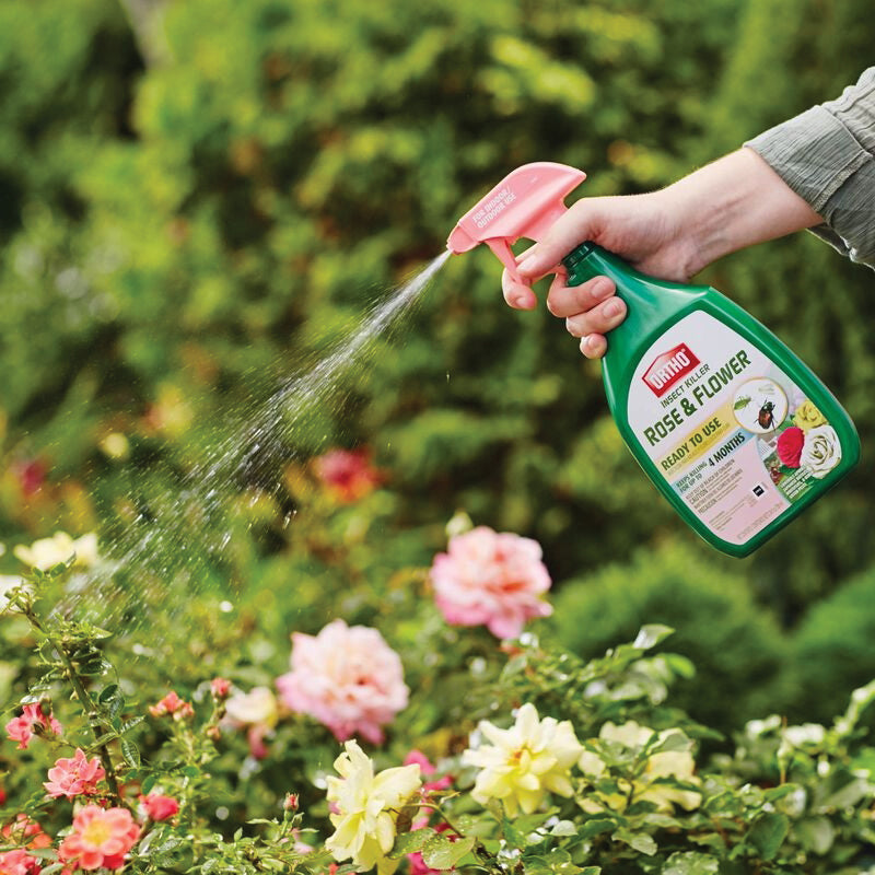 ORTHO® 0345610 Ready-to-Use Rose and Flower Insect Killer, Liquid, Indoor, Outdoor, 24 oz